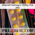 Sildenafil Kamagra 100Mg Oral Jelly new11